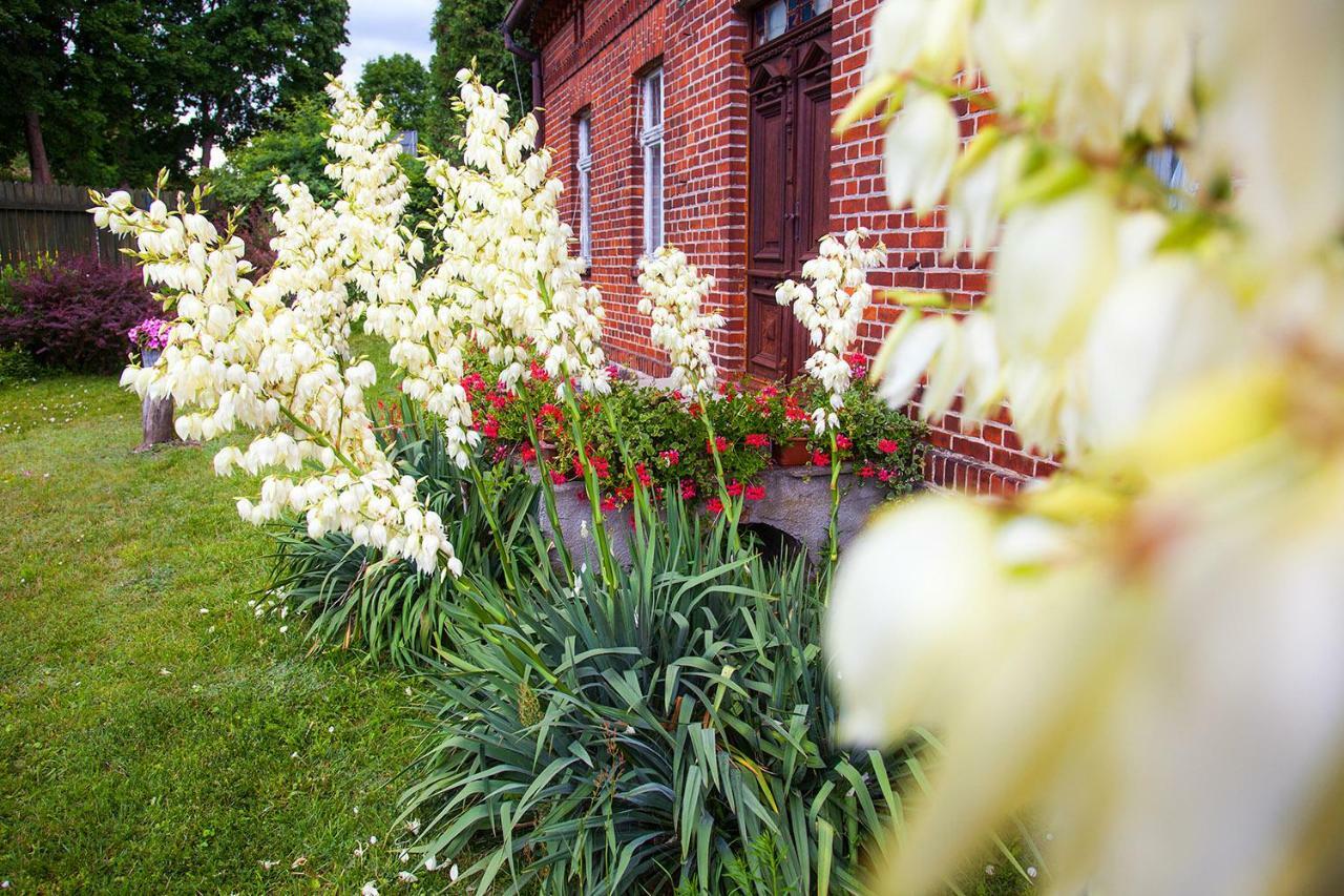 Sloneczny Port Bed & Breakfast มิโคไวกี ภายนอก รูปภาพ